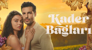 مسلسل روابط القدر